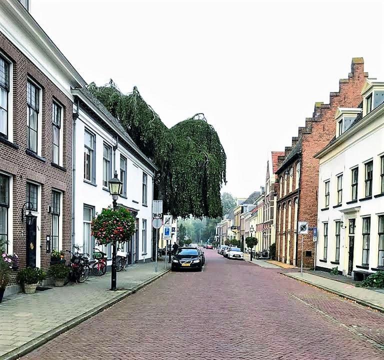 De Buurvrouw Nr.18 Bed & Breakfast Doesburg Exterior foto